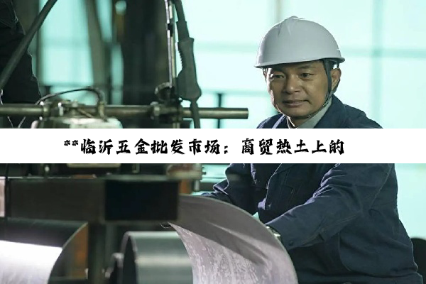 **临沂五金批发市场：商贸热土上的璀璨五金星辰**
